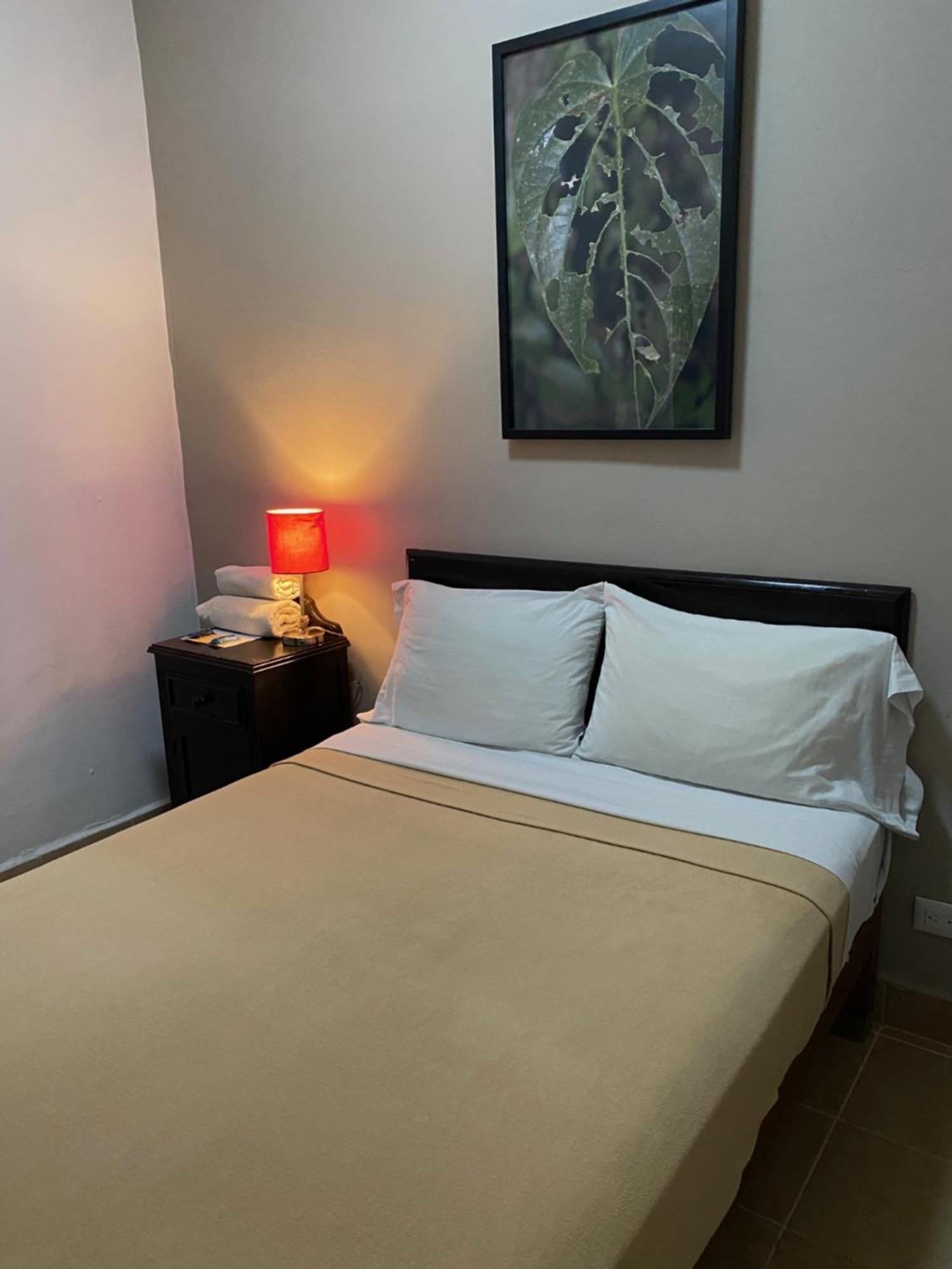Hostel Inn ซานมิเกล เด อาเญนเด ภายนอก รูปภาพ