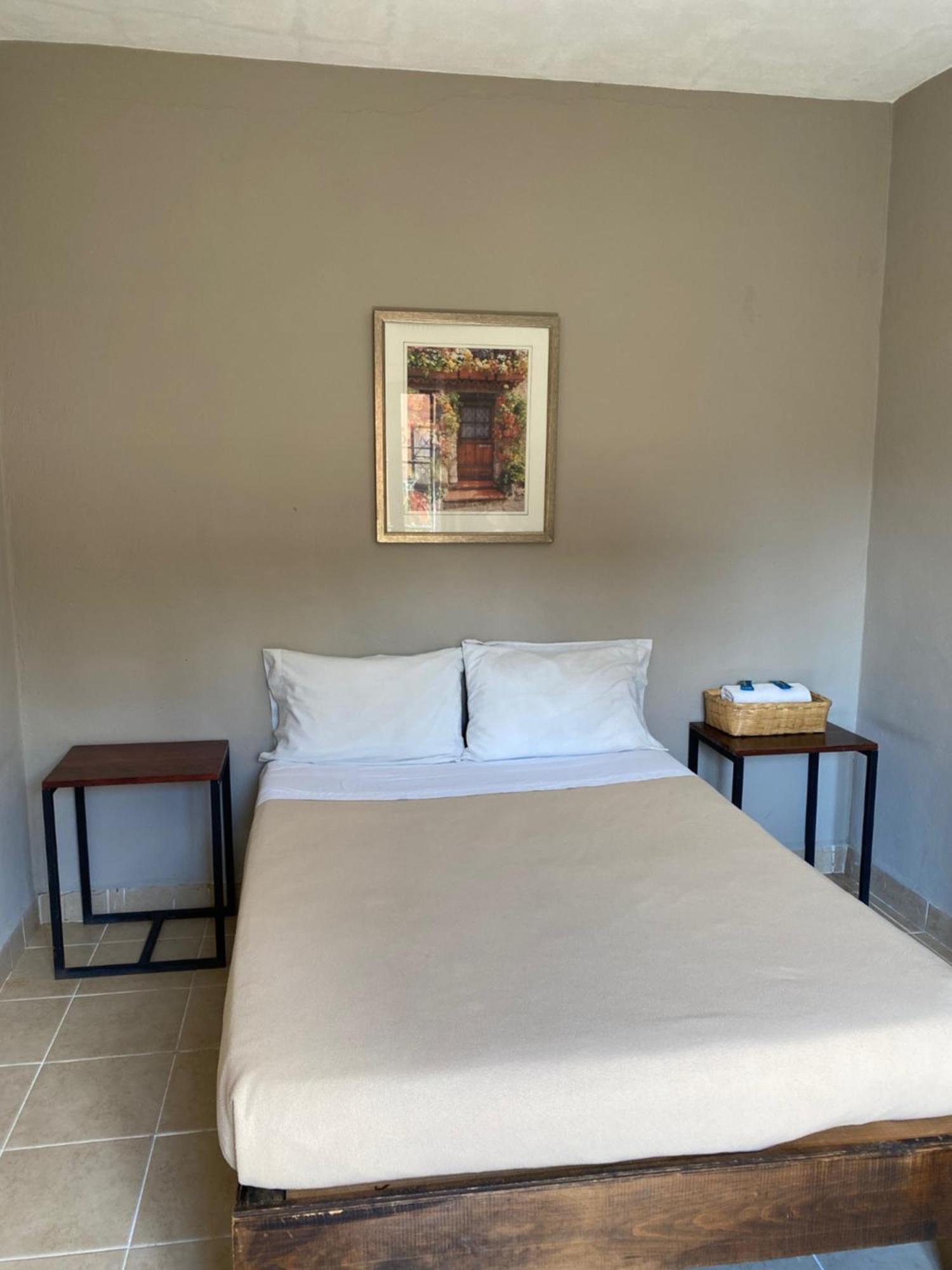 Hostel Inn ซานมิเกล เด อาเญนเด ภายนอก รูปภาพ